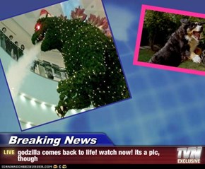 Breaking News - godzilla comes back to life! watch now! its a pic, though