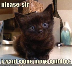 Aw, You Can Have All the Cuddles You Want!