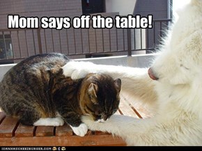 Mom says off the table!