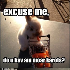 YES. TAKE ALL MY CARROTS.