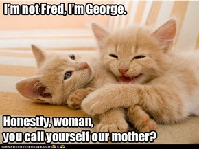 He's Fred!