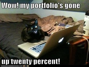 Wow! my portfolio's gone  up twenty percent!