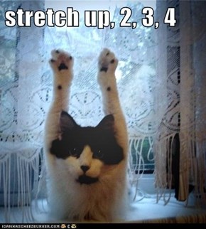 stretch up, 2, 3, 4