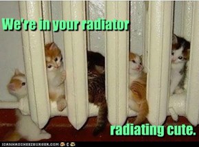 We're in your radiator radiating cute.