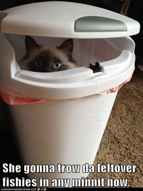 She gonna trow da leftover fishies in any minnit now.