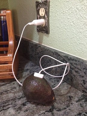 Does Your Avocado Have a Good Data Plan?