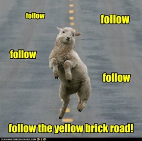 follow