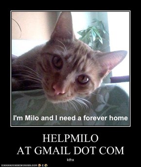 HELPMILO  AT GMAIL DOT COM