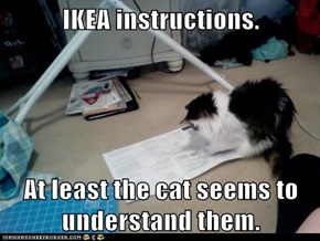 IKEA instructions.  At least the cat seems to understand them.