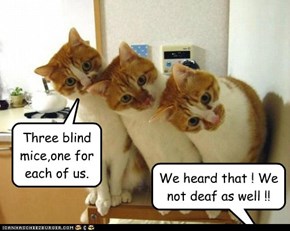 Three blind mice,one for each of us.