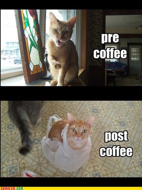 coffeeeee!