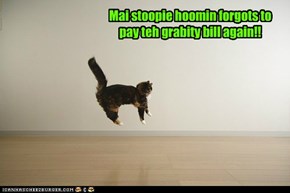Mai stoopie hoomin forgots to pay teh grabity bill again!!