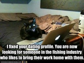 Basement Cat's Matchmaking Service