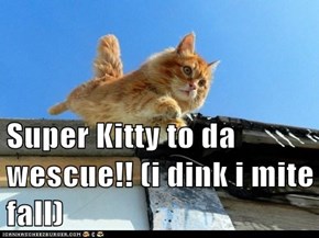 Super Kitty to da wescue!! (i dink i mite fall)