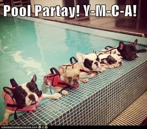 Pool Partay! Y-M-C-A!