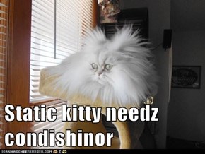 Static kitty needz condishinor