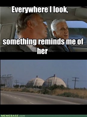 In Honor of Leslie Nielsen (1926-2010)