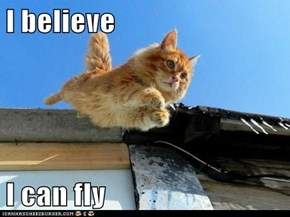 I believe  I can fly