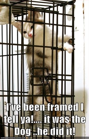 I've been framed I tell ya!.... it was the Dog ..he did it!