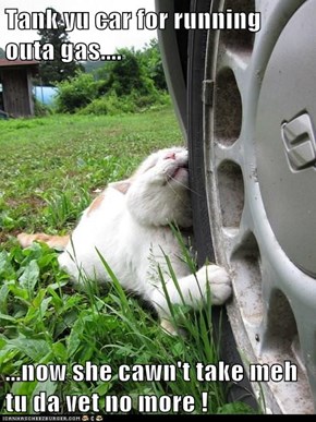 Tank yu car for running outa gas....  ...now she cawn't take meh tu da vet no more !