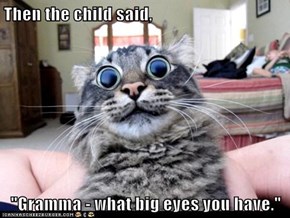 Then the child said,  "Gramma - what big eyes you have."