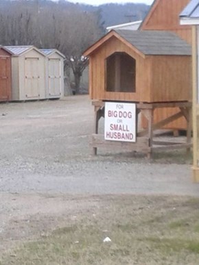"The Doghouse" is Being Taken Literally