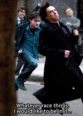 The Great Fandom Race!