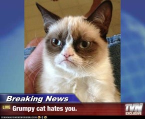 Breaking News - Grumpy cat hates you.