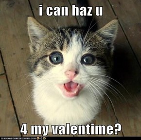 i can haz u  4 my valentime?
