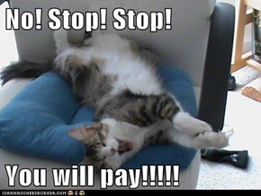 No! Stop! Stop!  You will pay!!!!!