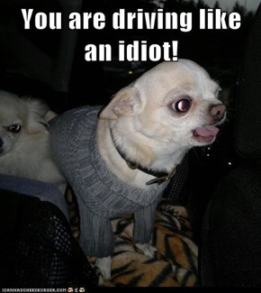 You are driving like an idiot!