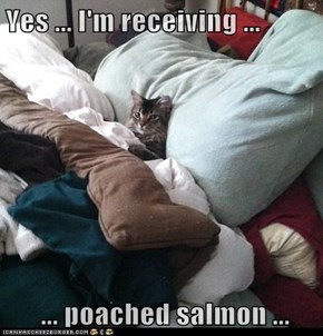 Yes ... I'm receiving ...   ... poached salmon ...