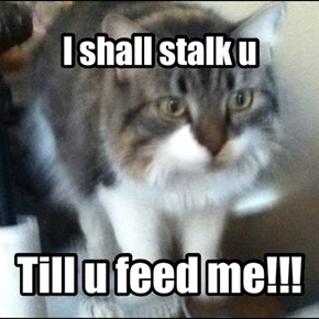 I shall stalk u