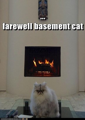 ...                                                                                                                                              farewell basement cat