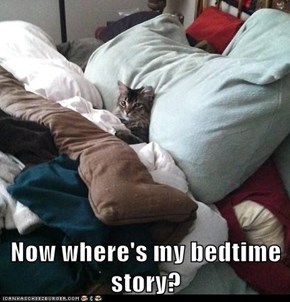 Now where's my bedtime story?