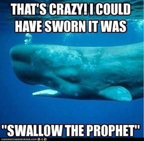Swallow The Prophet