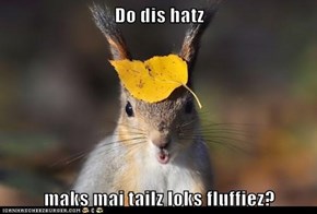 Do dis hatz   maks mai tailz loks fluffiez?