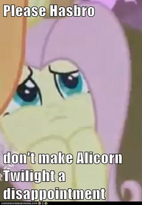 Please Hasbro  don't make Alicorn Twilight a disappointment