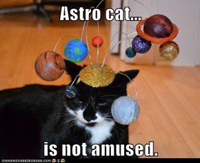 Astro cat...  is not amused.