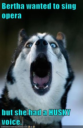 Bertha wanted to sing opera  but she had a HUSKY voice.