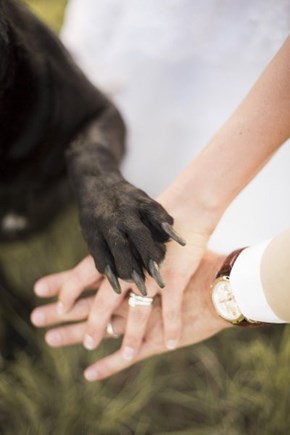 I Now Pronounce You Man and Woof
