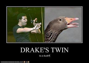 DRAKE'S TWIN