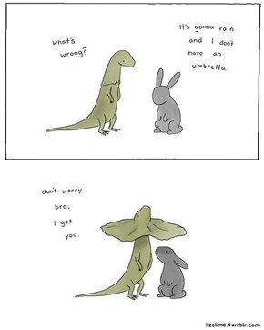 Who Knew Lizards Were So Considerate?