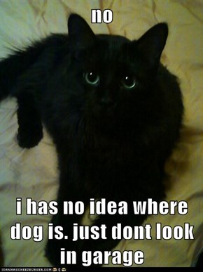 no  i has no idea where dog is. just dont look in garage