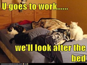 U goes to work......  we'll look after the bed