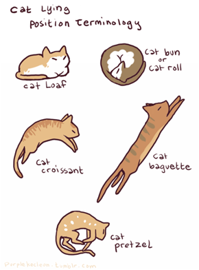 This Comic Will Make You Both Fuzzy and Hungry on the Inside