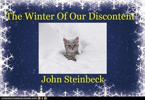 The Winter Of Our Discontent