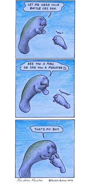 Are You Man Enough to Handle the Manliest of Manatees?