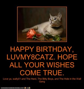 HAPPY BIRTHDAY, LUVMY8CATZ. HOPE ALL YOUR WISHES COME TRUE.