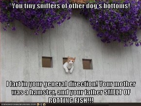 You tiny sniffers of other dog's bottoms!  I fart in your general direction! Your mother was a hamster, and your father SMELT OF ROTTING FISH!!!